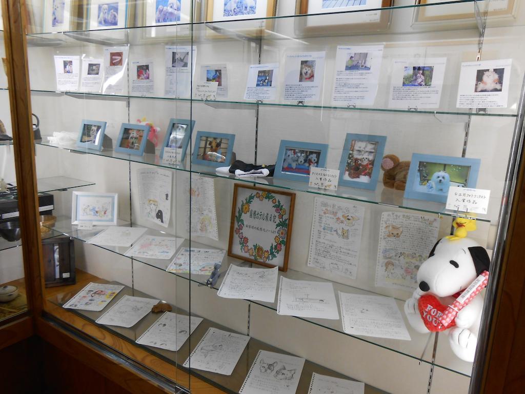 Kinugawa Kokusai Hotel Nikko Dış mekan fotoğraf